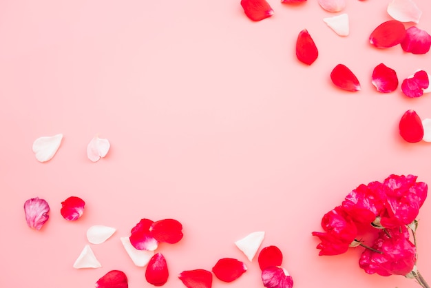 Photo flowers near heap of red petals