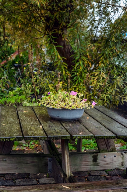 Цветы в старом тазу на деревянном столе среди густой зелени деревьев. Уютное место для отдыха на природе. Вертикальная.