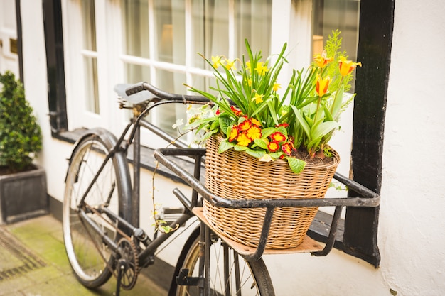 窓の横にある古い自転車のバスケットの花