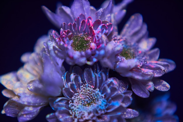 Flowers in the paint drops glow in the ultraviolet light.\
natural beauty cosmetics