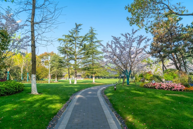 The flowers in the park are full of flowers