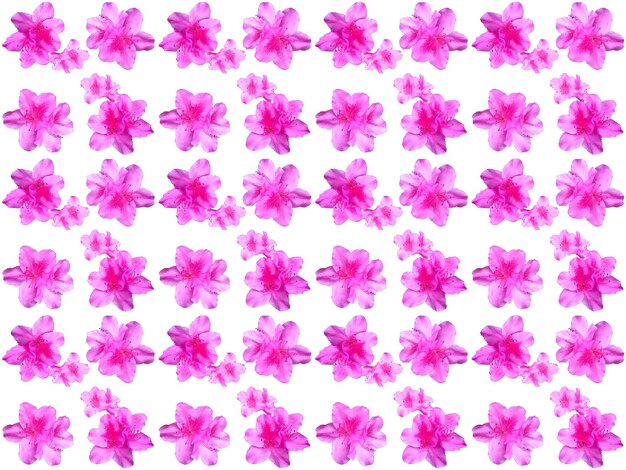 Foto sfondo di pattern di fiori