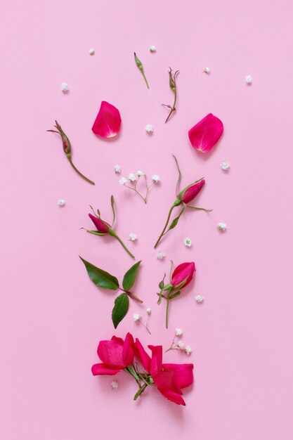 Flowers and petals on a light pink background top view