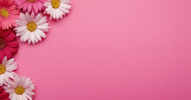 Цветы на розовом фоне с свободным пространством для текста