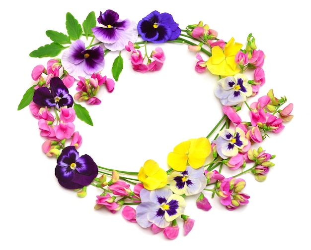 Flowers of pink peas and yellow pansy wreath isolated on white background Perfectly retouched full depth of field on the photo Flat lay top view