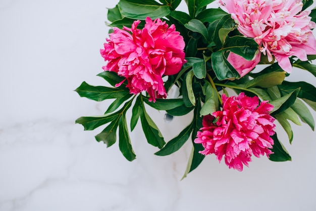 Photo flowers. pink peony on the merble table