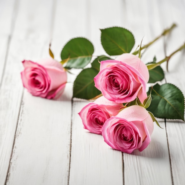 Flowers of pink roses on white wood background Happy Valentines Day with romantic greeting card