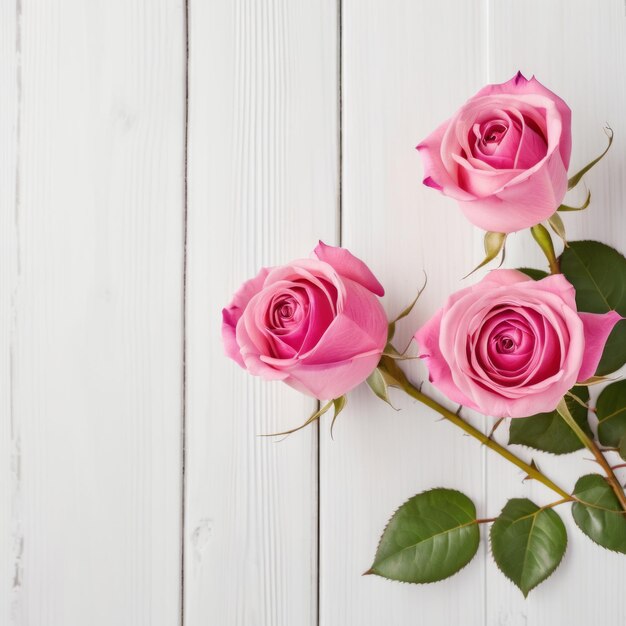 Flowers of pink roses on white wood background Happy Valentines Day with romantic greeting card