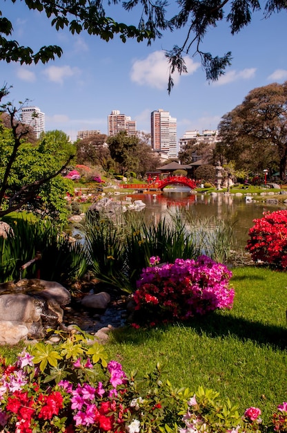 Flowers and pond in the Japanese garden in Buenos Aires Argentina