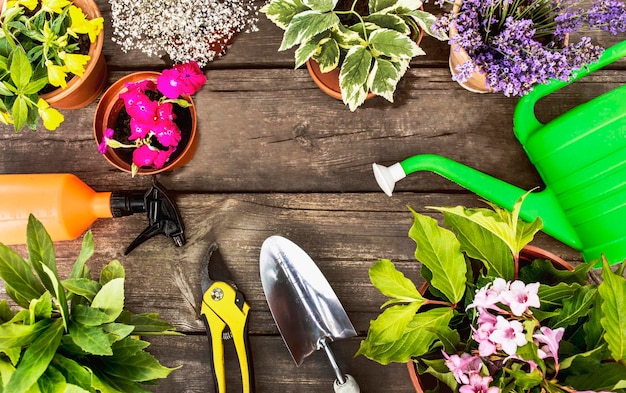 Flowers in a pot and garden tools on a wooden surface