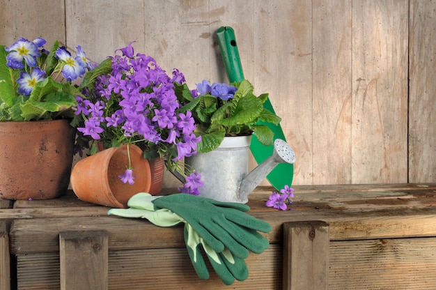 Flowers pot and gardening tools