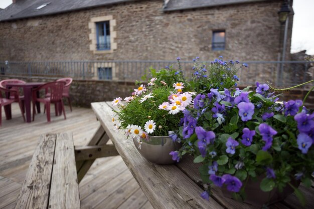 Flowers in a pot standing on a table