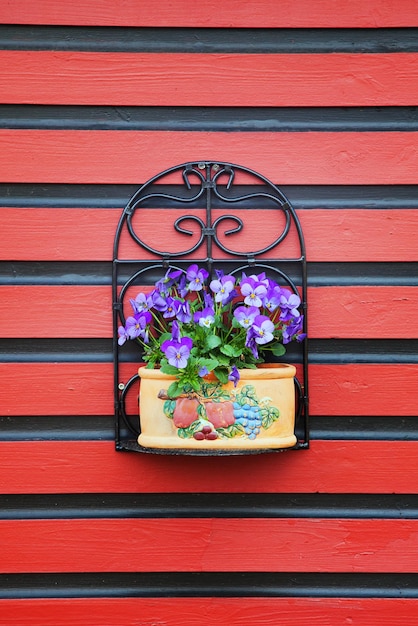 Flowers in a pot on the wall