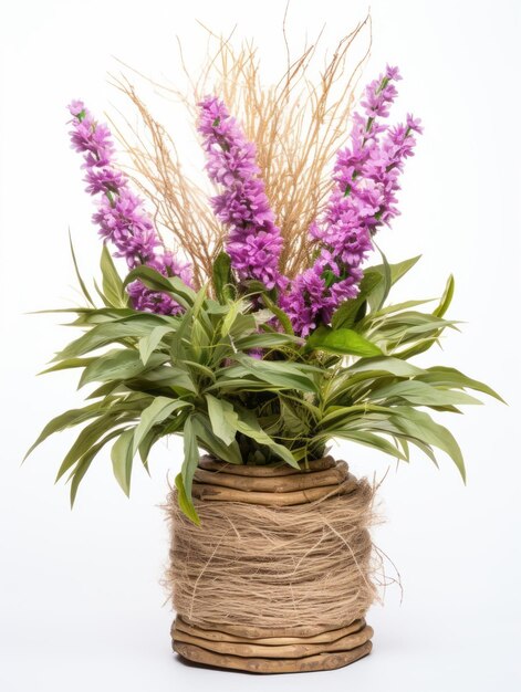 Photo flowers in pot on white background