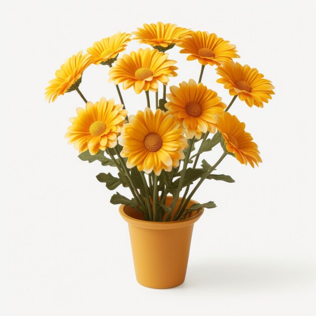 Flowers in pot on white background