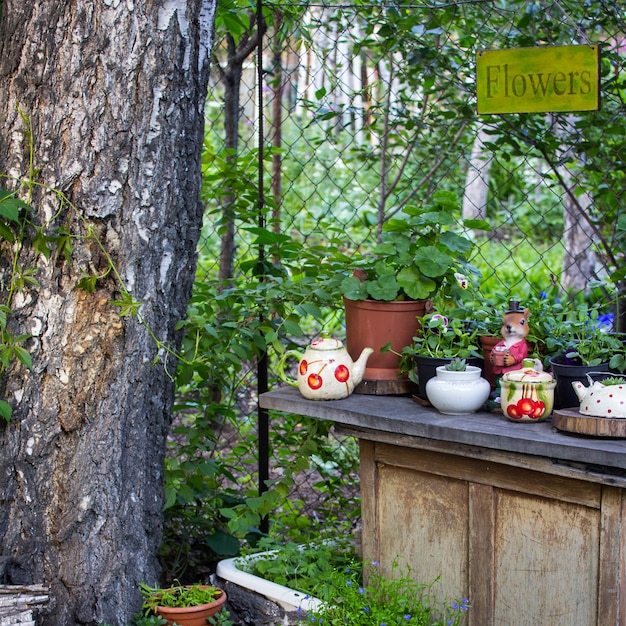 Photo flowers in pots in the garden in summer