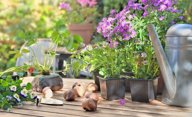 Flowers pots and strawberry plant on a garden table in home terrace