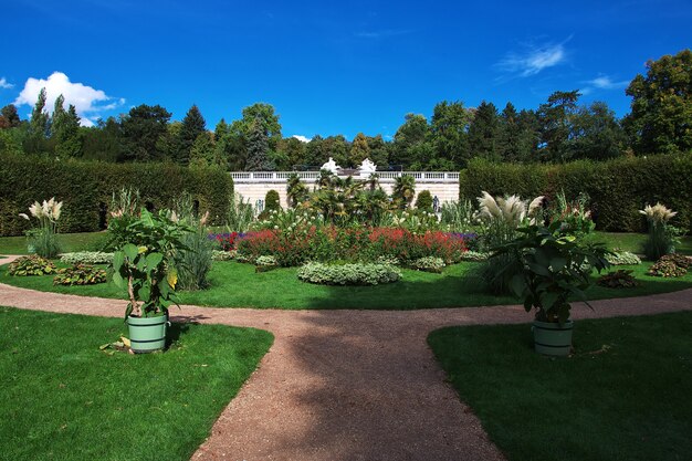 Flowers in Potsdam park, Germany