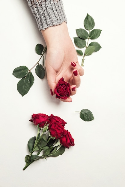 Flowers roses in hands of girl, top view, little red roses white background