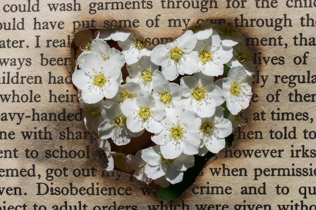 Flowers seen through heart shape