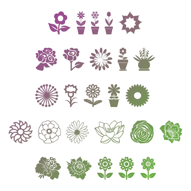 flowers set items gradient effect photo jpg vector set