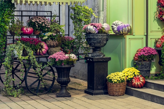 Scheletri di fiori e zucche di halloween disposti davanti all'arredamento dell'ingresso per la festa di tutti i santi