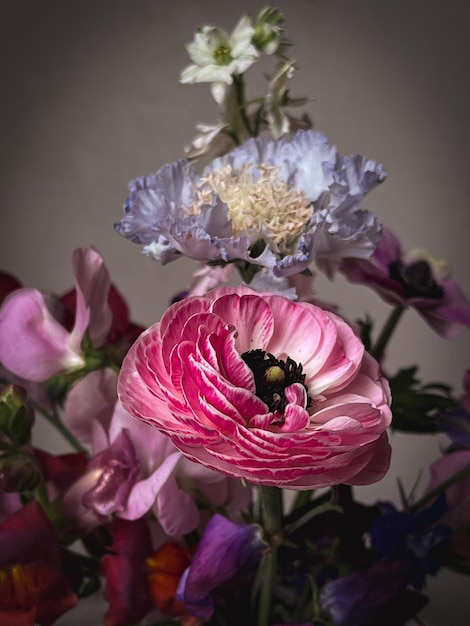 Flowers Still life Beautiful colorful flowers close up on moody background Stylish artistic composition of lathyrus anemone ranunculus delphinium Floral vertical wallpaper