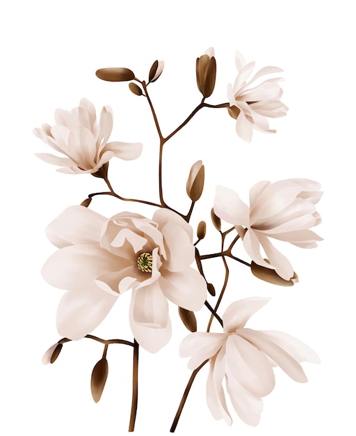 The flowers in the sunny day, the leaves and flowers art design.