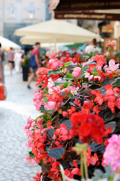 レストランのテラスの花