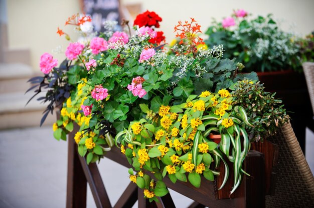 レストランのテラスの花