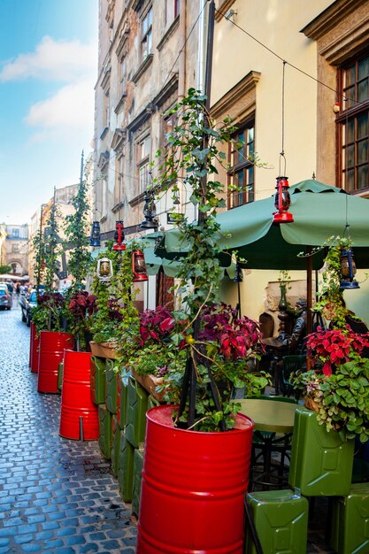 Flowers on the terrace