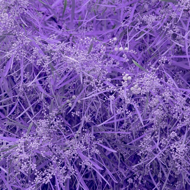 Flowers texture. Minimal purple colours art