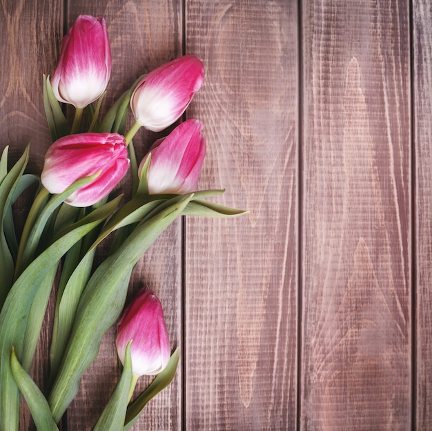 Flowers tulips on the background of wooden wall