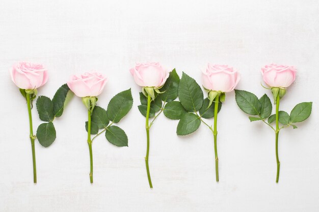 花バレンタインデーの構成。灰色の背景にピンクのバラで作られたフレーム。フラットレイ、上面図、コピースペース。