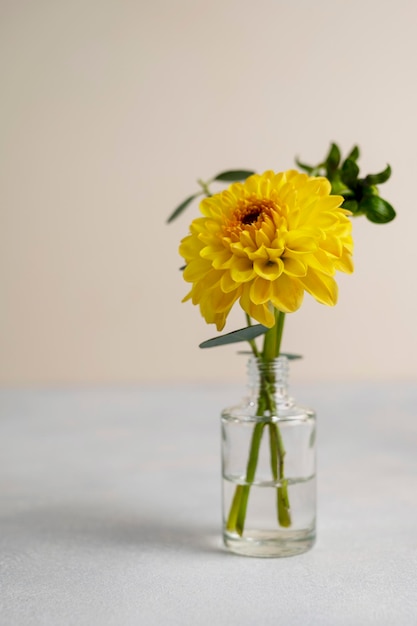 花瓶の花 カラフルな夏の花の花束 黄色のダリアの花のグリーティング カード
