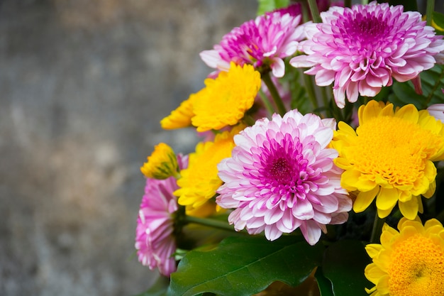 Flowers in a vase place on cement wall.  background texture