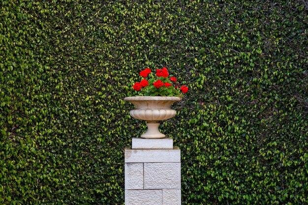 Foto fiori in un vaso con sfondo verde nei giardini bahai