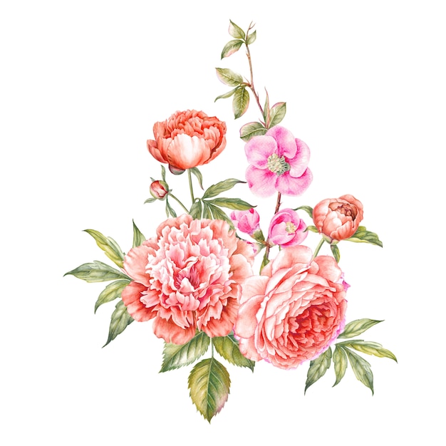 Flowers watercolor illustration.