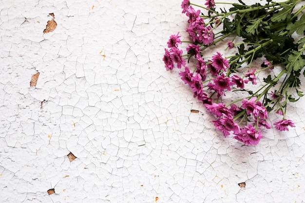 Flowers on white background. Flat lay, top view