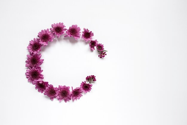 Flowers on white background. Flat lay, top view