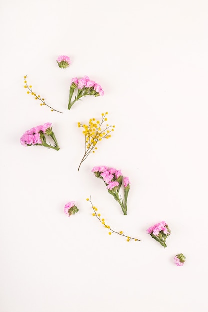 Flowers on a white background - hello spring and hello summer