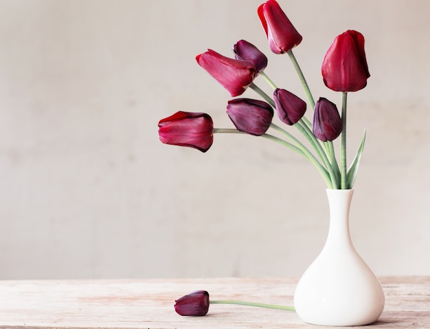 Flowers on white background