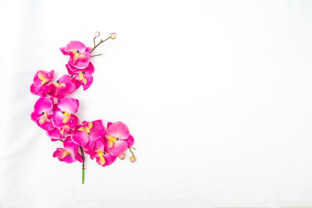 Flowers Of The White Background