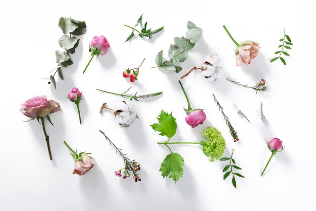 Flowers on white background