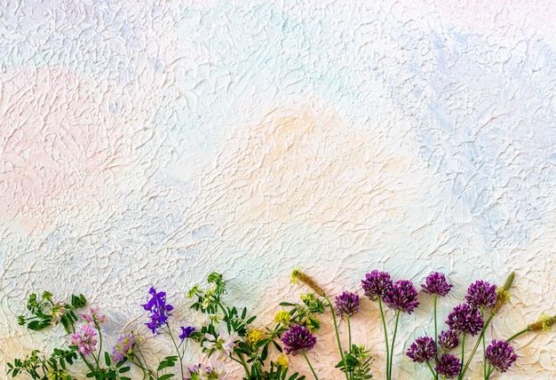 Flowers on a white pink blue. Minimal concept. Creative.