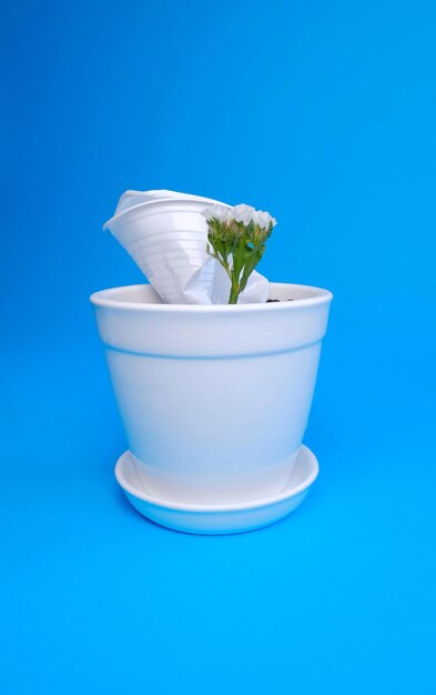 Photo flowers and a white plastic cup in a white pot. life with plastic. earth and plastic