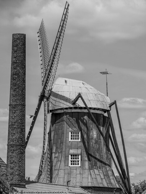 Flowers and Windmill