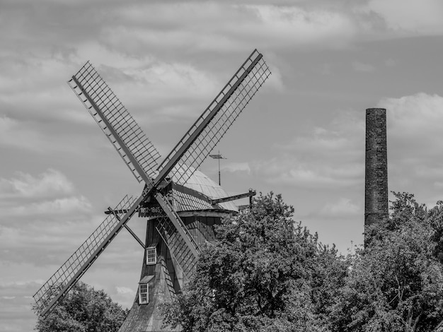 Flowers and Windmill