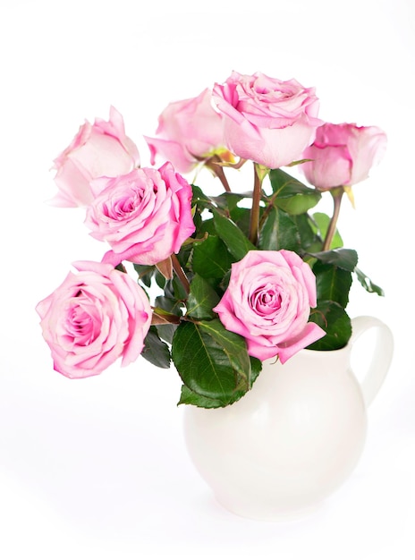 Flowers with clipping path side view Beautiful pink roses on stem with leaves isolated on white background Natur object for design to Valentines Day mothers day anniversary