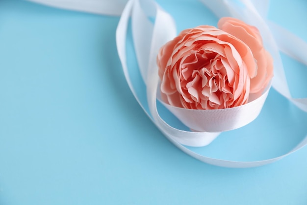 Flowers with white ribbon on a blue background